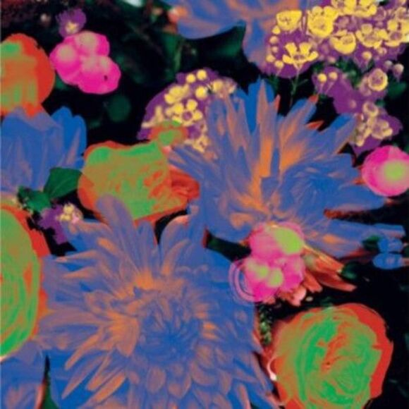 Timeaway - Picture 1 of 1